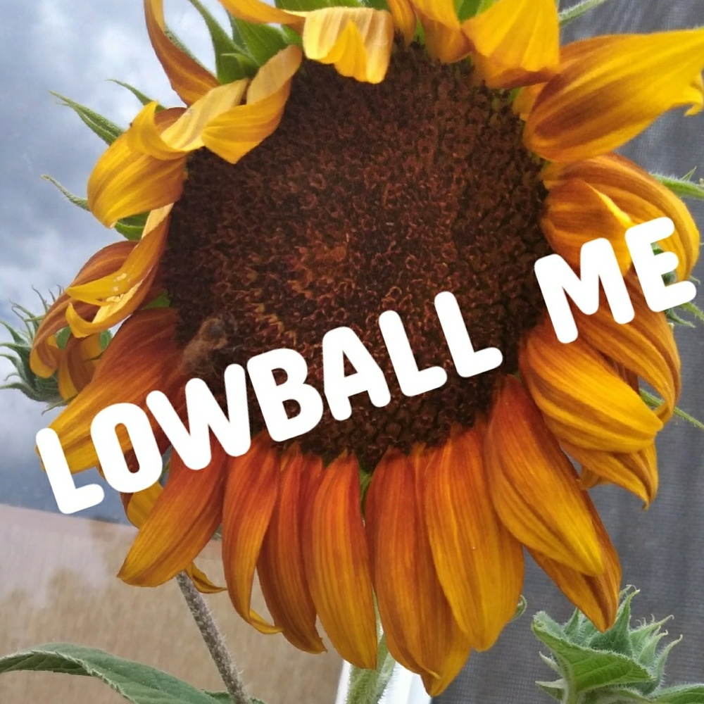 LOWBALLS WELCOMED